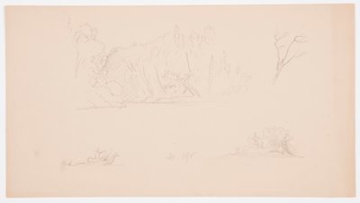 Desenho, Esboços botânicos: árvore, árvores na costa, setembro de 1876 de Frederic Edwin Church