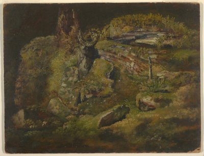 Desenho, Pedregulho no bosque, ca. 1845 de Frederic Edwin Church