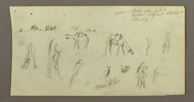 Desenho, Estudos de Camelo, 2 de março de 1868 de Frederic Edwin Church