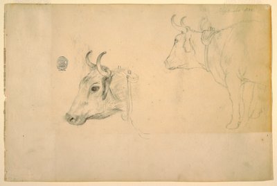 Desenho, Gado, setembro de 1844 de Frederic Edwin Church