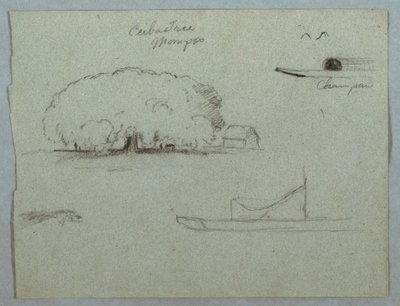 Desenho, Ceiba Tree at Mompos, Champan Canoe, Trees, and a Partial Boat, Rio Magdelena, Colombia, 1853, provavelmente maio de Frederic Edwin Church