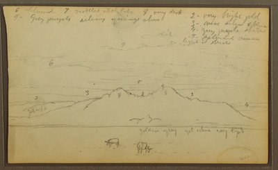 Desenho, Vacas na paisagem; Verso: Bambu, 1857 de Frederic Edwin Church