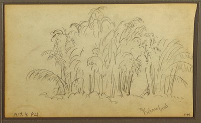 Desenho, Vacas na paisagem; Verso: Bambu, 1857 de Frederic Edwin Church