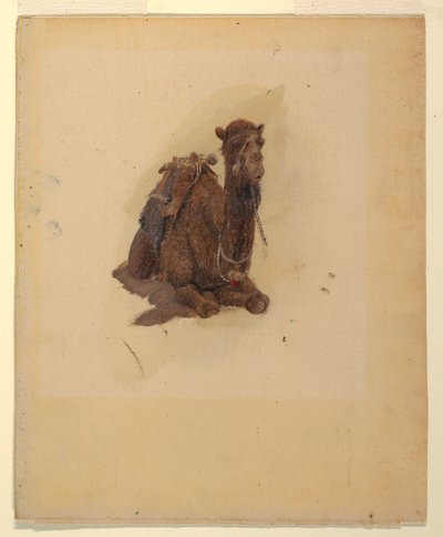 Desenho, Dromedário agachado, 1868 de Frederic Edwin Church