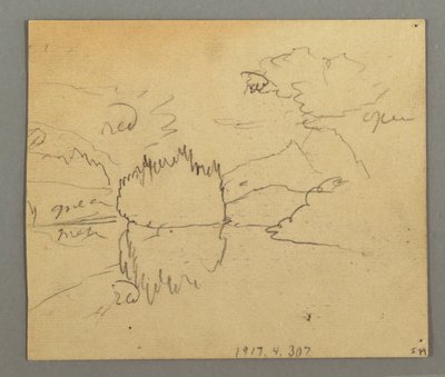 Desenho, Árvores mortas, Planta, possivelmente 1868 de Frederic Edwin Church