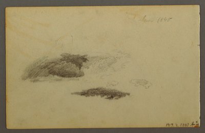 Desenho, Bétula deteriorada, 1844 de Frederic Edwin Church