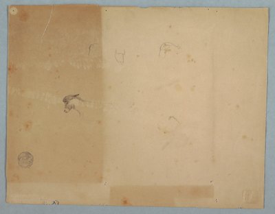 Desenho, Pormenores de cabeças de burro, América do Sul, 1853 de Frederic Edwin Church