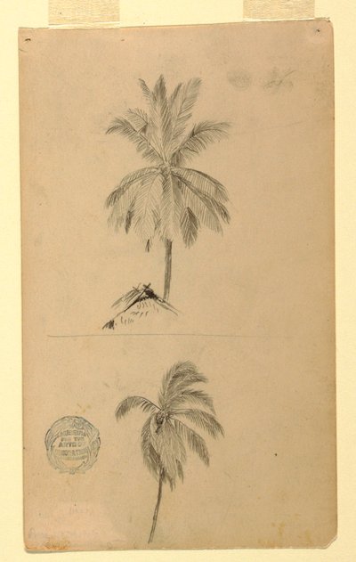 Desenho, Desenhos.  Dois esboços.  Palmeiras, 1857 de Frederic Edwin Church