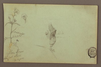 Desenho, Planta florida e uma rocha entre as cataratas americana e canadiana do Niágara, possivelmente 1858 de Frederic Edwin Church