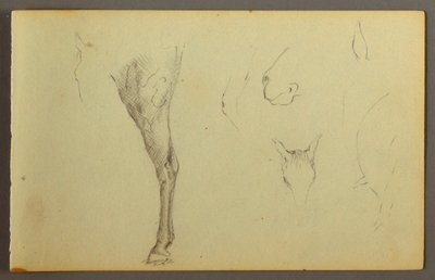Desenho, Estudos de cavalos, possivelmente 1844 de Frederic Edwin Church