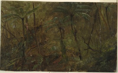 Desenho, Nos bosques da Jamácia, Índias Ocidentais, 1865 de Frederic Edwin Church
