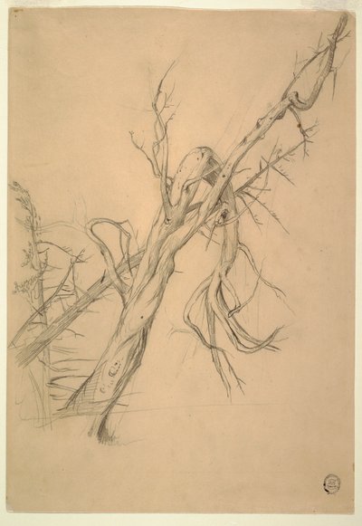 Desenho, acampamento índio, Grand Manan, Baía de Fundy, setembro de 1851 de Frederic Edwin Church