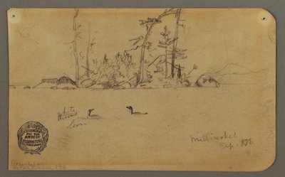 Desenho, Ilha, Dois mergulhões, 1878 de Frederic Edwin Church
