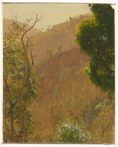 Desenho, Paisagem, julho de 1865 de Frederic Edwin Church