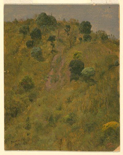 Desenho, Paisagem, julho de 1865 de Frederic Edwin Church