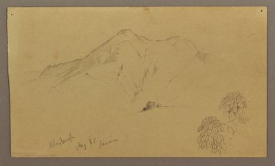Desenho, Paisagem, plantas, Bloxburgh, agosto de 1865 de Frederic Edwin Church