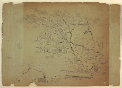 Desenho, Paisagem com árvores e um riacho [], Ilha de Grand Manan, Canadá, setembro de 1851 de Frederic Edwin Church