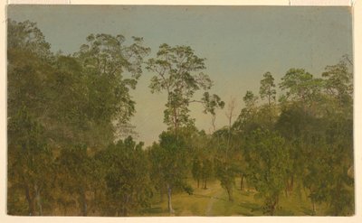 Desenho, Paisagens, julho de 1865 de Frederic Edwin Church
