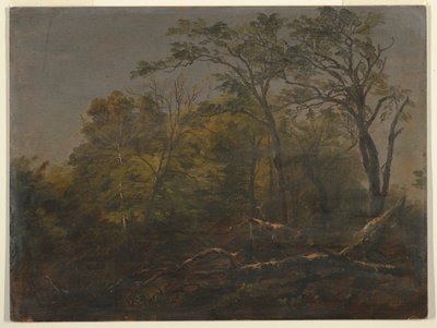 Desenho, Bosque do Maine, 1845-55 de Frederic Edwin Church