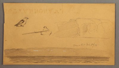 Desenho, Homem num barco, pássaro, falésias, costa, 6 de julho de 1859 de Frederic Edwin Church