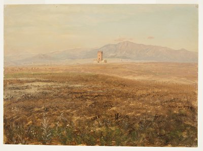 Desenho, paisagem mexicana, abril de 1869 de Frederic Edwin Church