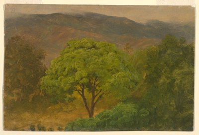 Desenho, Paisagem de montanha, agosto de 1865 de Frederic Edwin Church