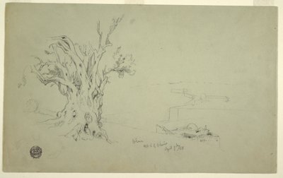Desenho, Oliveira, Monte das Oliveiras, abril de 1868 de Frederic Edwin Church