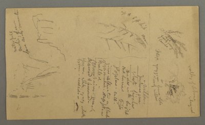 Desenho, Estudos de plantas, Notas de plantas, Cascata, 1868 de Frederic Edwin Church