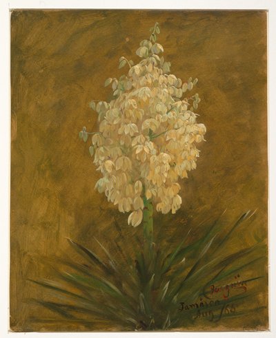 Desenho, Planta em flor, agosto de 1865 de Frederic Edwin Church