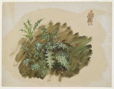Desenho, Estudos de plantas, 1865 de Frederic Edwin Church