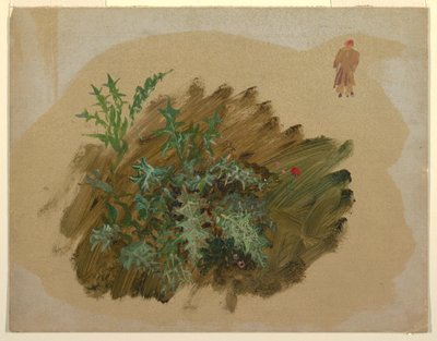 Desenho, Estudos de plantas, 1865 de Frederic Edwin Church