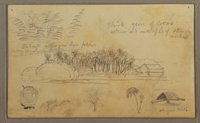 Desenho, Esboços, Equador ou Colômbia; Verso: Esboços, Equador ou Colômbia, 1857 de Frederic Edwin Church