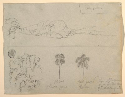 Desenho, Esboços da Colômbia:  Margem de um rio ou baía, e árvores, 1853 de Frederic Edwin Church
