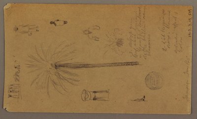 Desenho, Esboços da Jamaica, Índias Ocidentais, junho de 1865 de Frederic Edwin Church