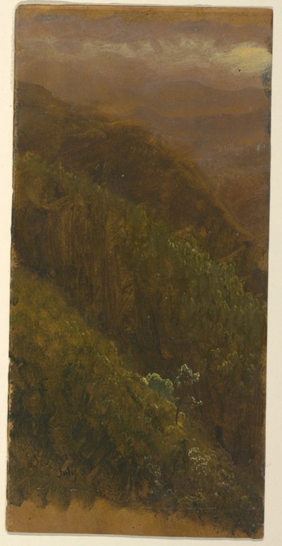 Desenho, encosta íngreme, julho de 1865 de Frederic Edwin Church