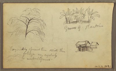 Desenho, esquina de rua em Guaquil, Equador; Verso: Esboços botânicos, casa, Equador ou Colômbia, 1857 de Frederic Edwin Church