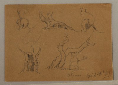 Desenho, Estudos de troncos de oliveira, 28 de abril de 1869 de Frederic Edwin Church