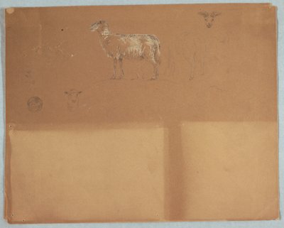 Desenho, Estudos de ovelhas, Equador ou Colômbia, 1853 de Frederic Edwin Church