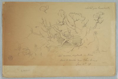 Desenho, Estudos de árvores e rochas, estrada para Mocho perto de Chimborazo, Equador, 16 de junho de 1857 de Frederic Edwin Church