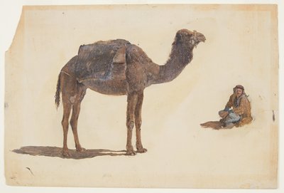 Desenho, Estudo de um dromedário, 1868 de Frederic Edwin Church