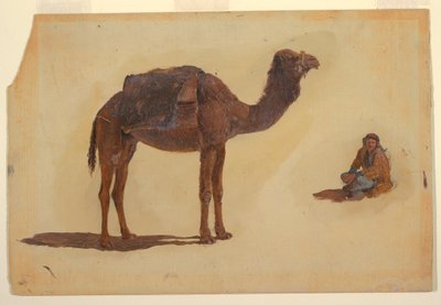 Desenho, Estudo de um dromedário, 1868 de Frederic Edwin Church
