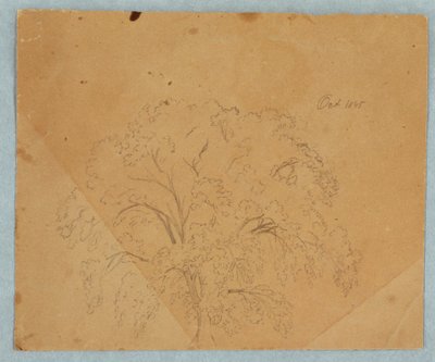 Desenho, Árvore; Verso: Vista de uma igreja, duas mulheres inglesas de 1636, estudo de um cavalo, outubro de 1845 de Frederic Edwin Church