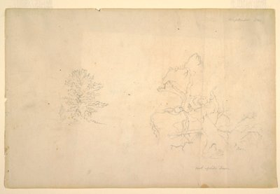 Desenho, Árvore e tronco de árvore morta, setembro de 1844 de Frederic Edwin Church