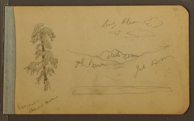 Desenho, Árvore, montanhas, 1889 de Frederic Edwin Church