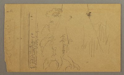 Desenho, Tronco de árvore e raízes, possivelmente 1865-66 de Frederic Edwin Church