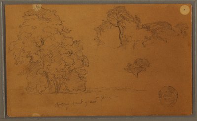 Desenho, Árvores, 1857 de Frederic Edwin Church