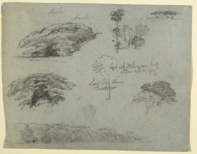 Desenho, Árvores, copas das árvores e uma margem arborizada, Saddleback, Maine, 1853 de Frederic Edwin Church