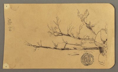 Desenho, Árvores, rochedos, 1878 de Frederic Edwin Church