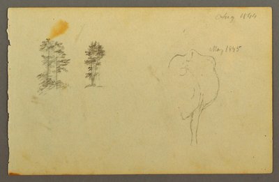 Desenho, Árvores, vaca, 1844 de Frederic Edwin Church