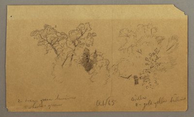 Desenho, Dois estudos de árvores, outubro de 1865 de Frederic Edwin Church